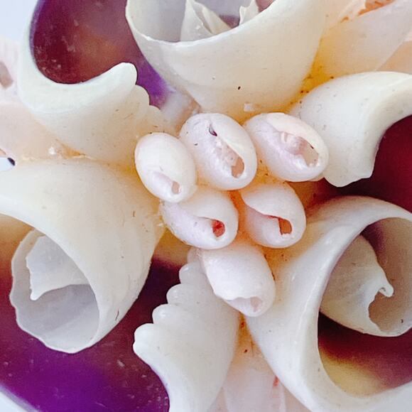 VTG Japan Shell Flower Clip On Earrings Mid Century 1950s 1960s Beachy Playful - Picture 5 of 11